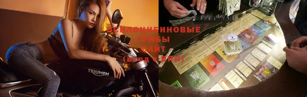 шишки Бронницы
