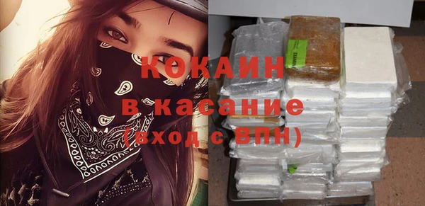 шишки Бронницы